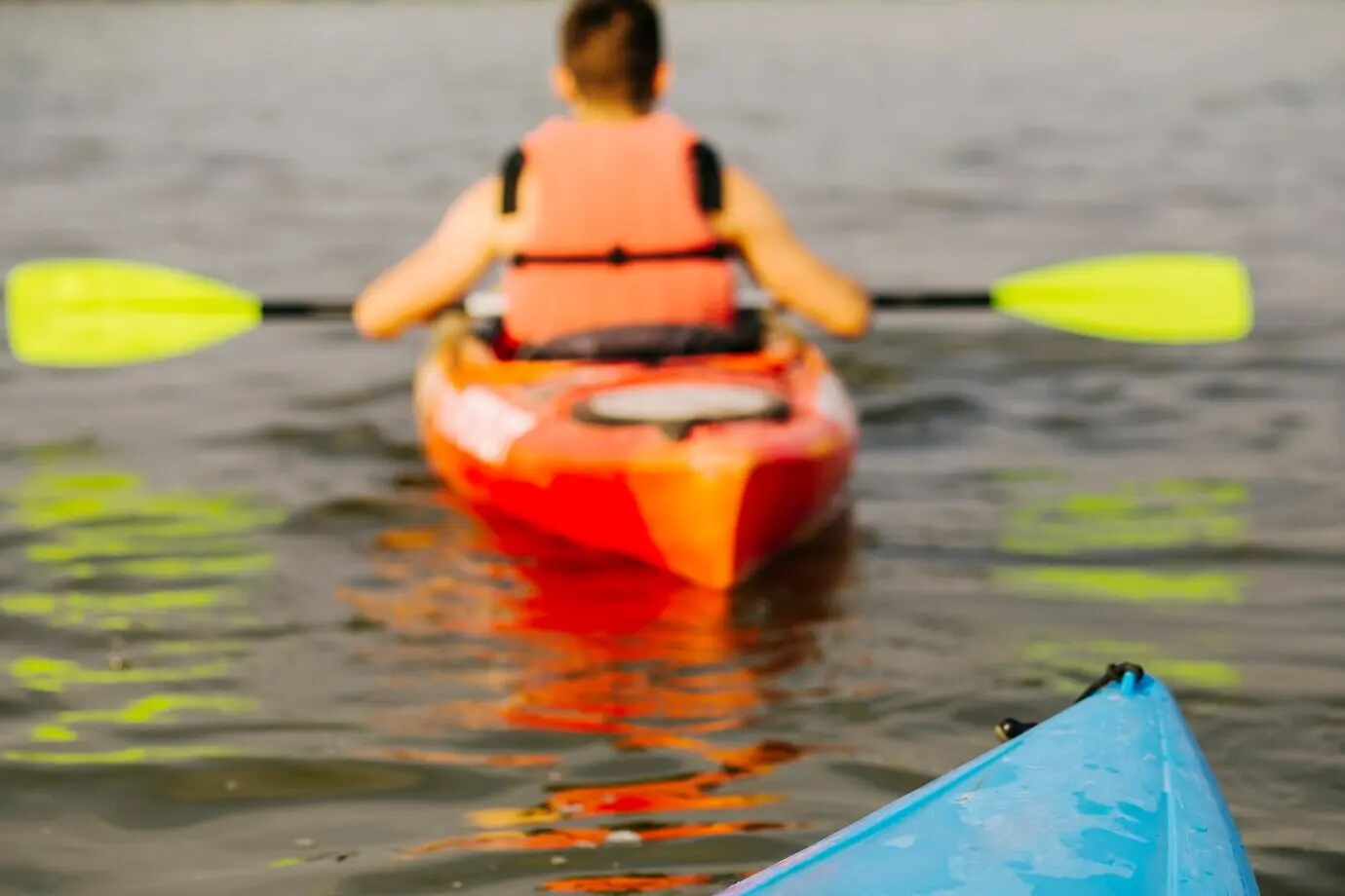 Back view of a man kayaking